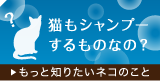 もっと知りたいネコのこと