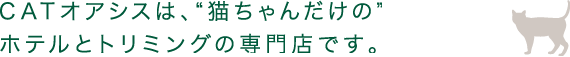 CATオアシスは、“猫ちゃんだけの”ホテルとトリミングの専門店です。